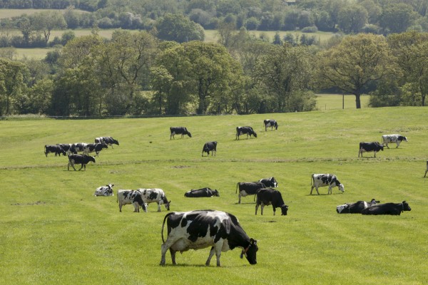 Agriculture Farming